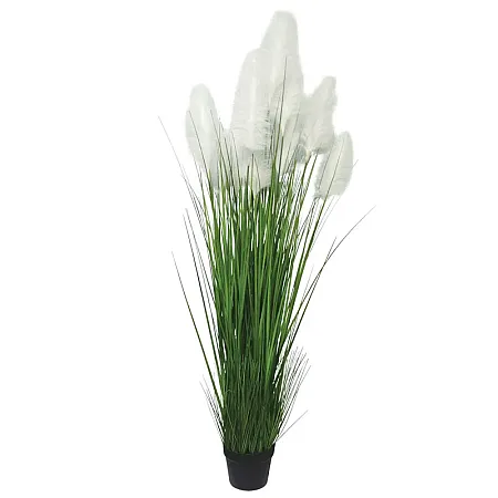 images/uploads/25047/thumb_24166 G.webp